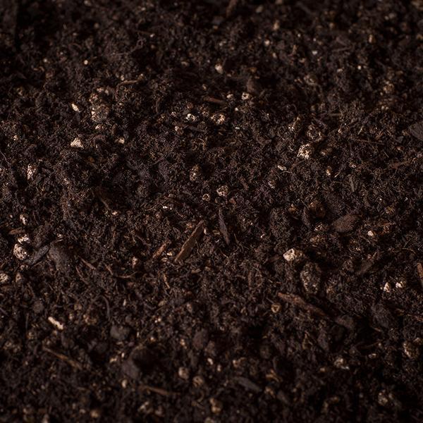 Garden Valley Organics Natural & Organic Potting Soil with Worm Castings