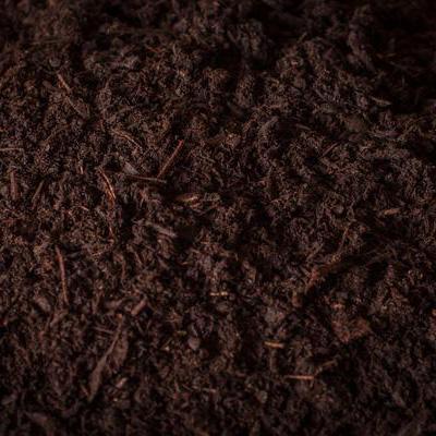 Bark Mulch