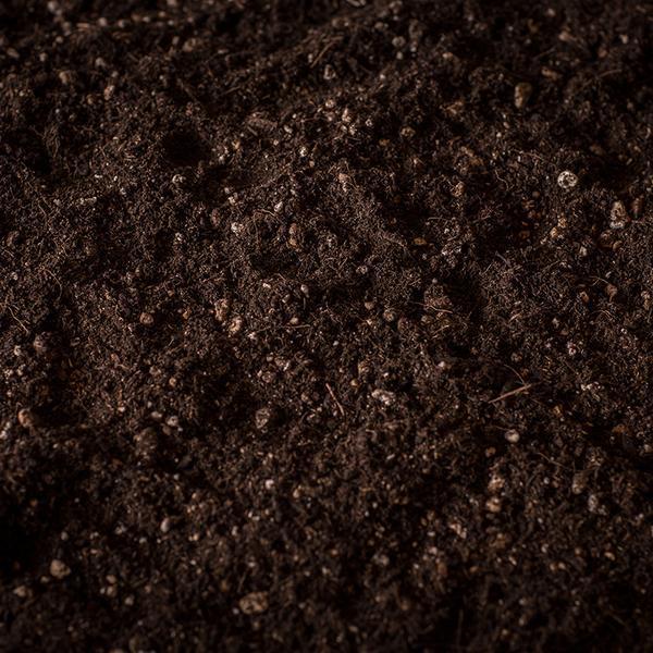 Premium Potting Soil