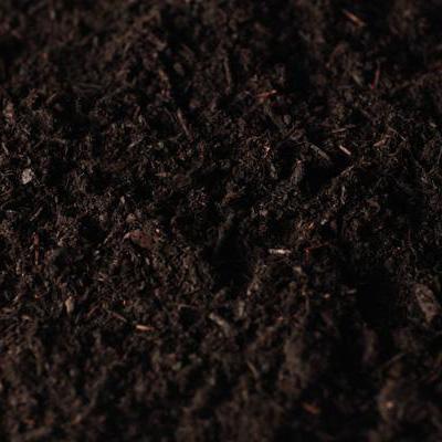 Bark Mulch